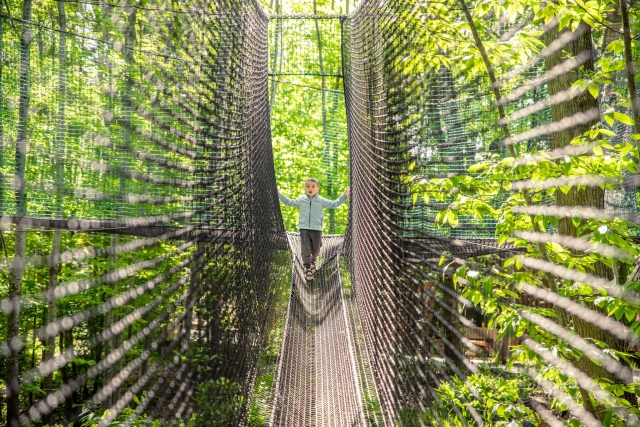  ¡Entretiene a tus aventureros en el parque! 