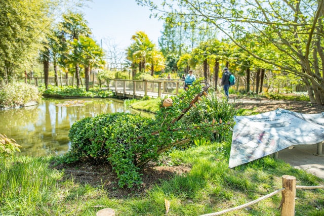  Admire las esculturas de plantas 