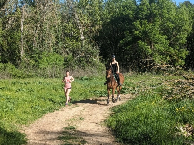 Disfruta de los paisajes verdes del Var.