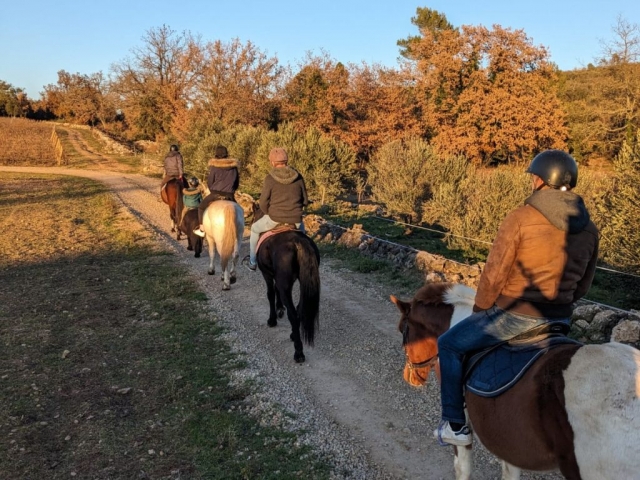  Disfrutar del sol del sur 