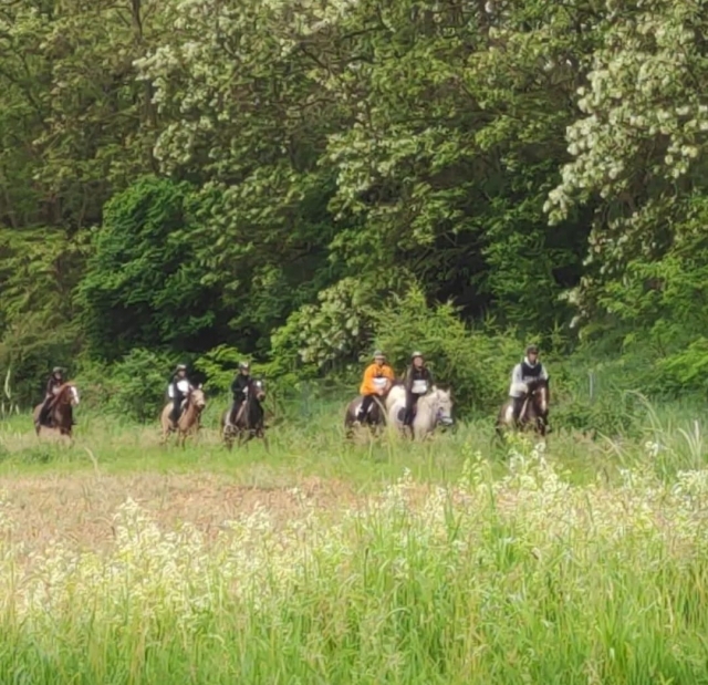  Pasar por los campos en barbecho 