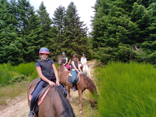 Paso por el bosque 