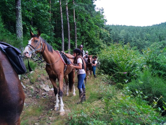  Paso estrecho por los senderos de Drôme 