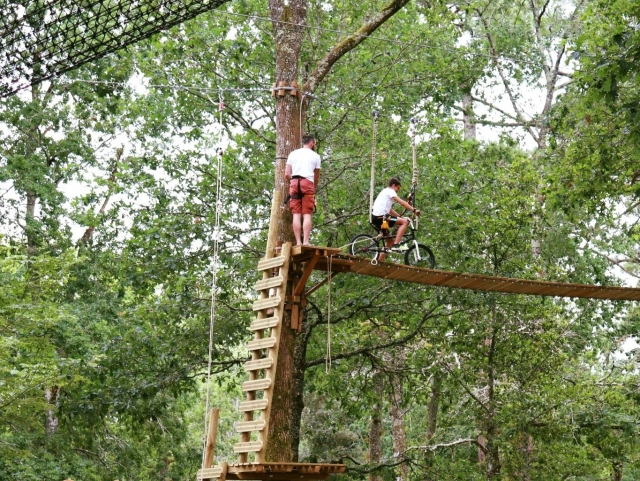  El inicio del recorrido de aventura en las copas de los árboles 