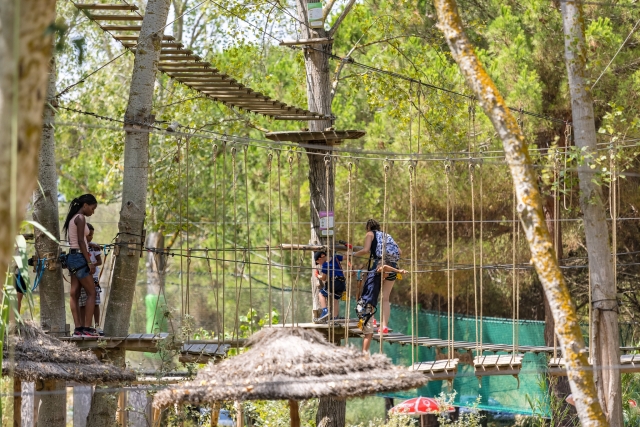  Escalar árboles en familia 