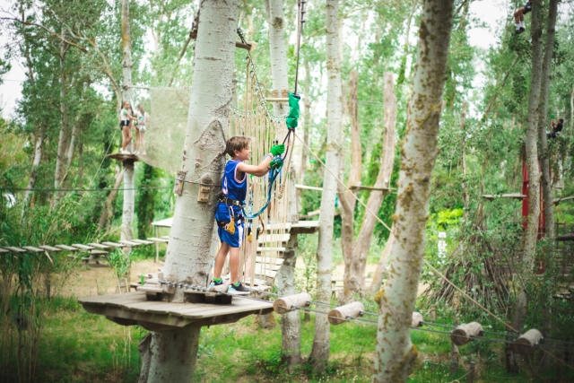  Escalar árboles en Vendres en Hérault 