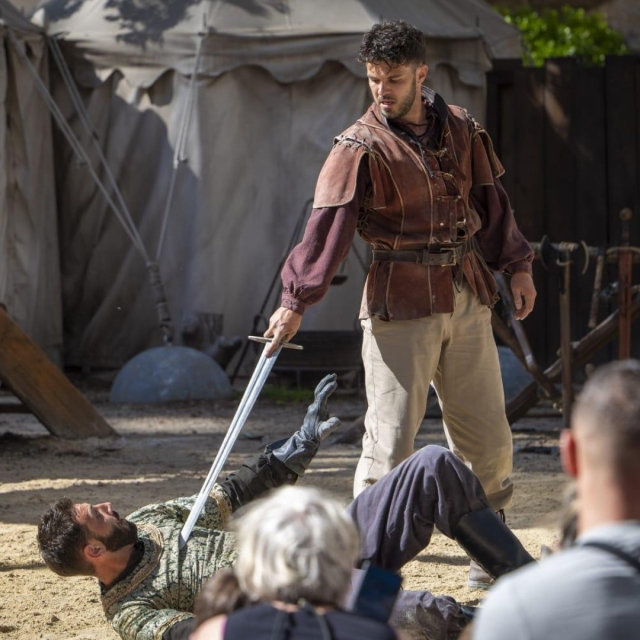  Descubre los espectáculos en vivo 