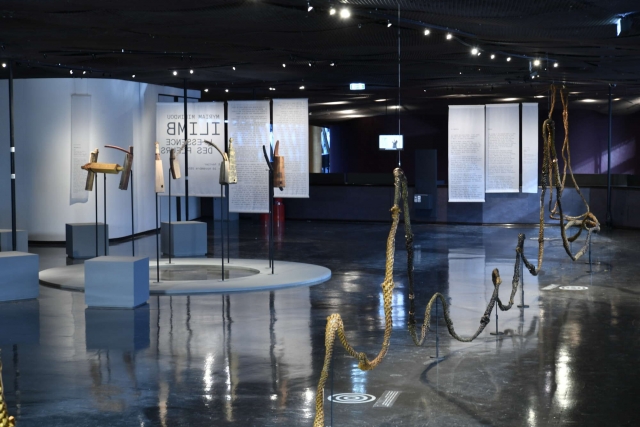 Las colecciones del museo