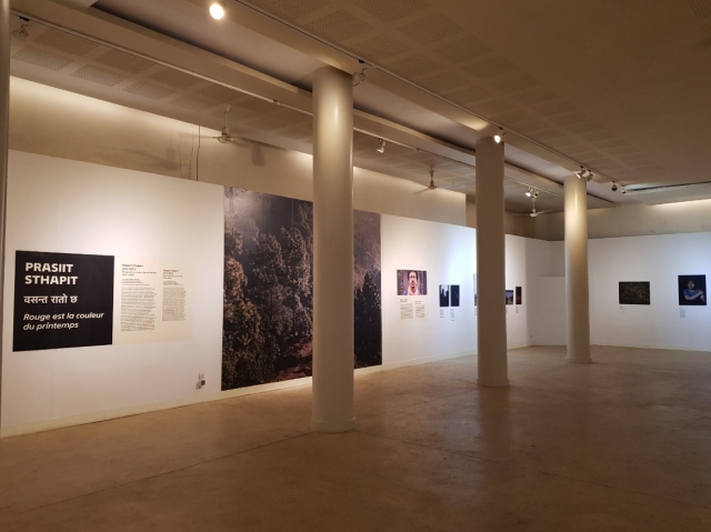 Dé un paseo por los pasillos del museo