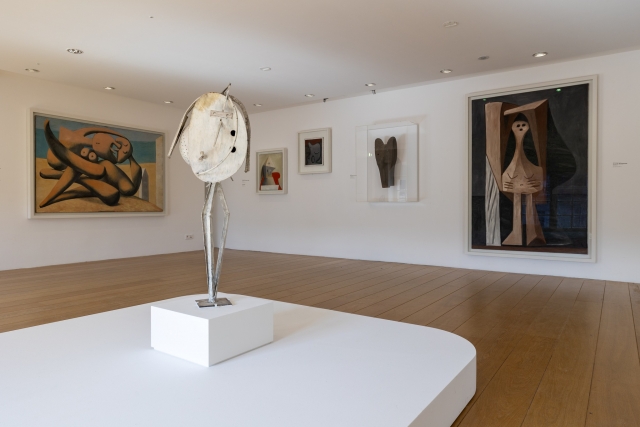 Disfruta de las grandes salas de exposición 