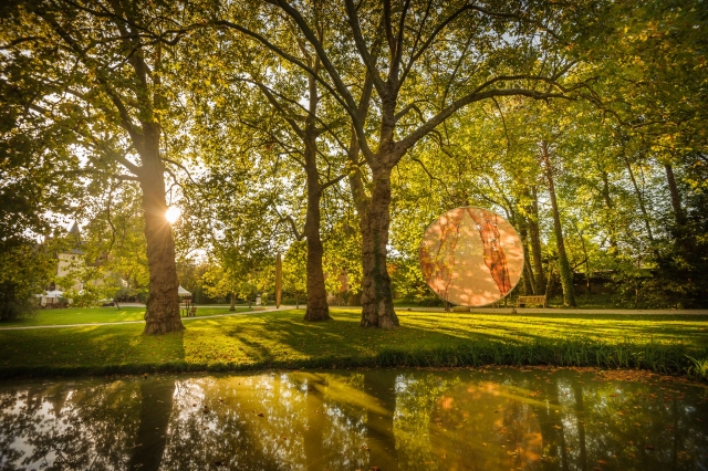  Disfruta de la luz del final del día en los jardines 