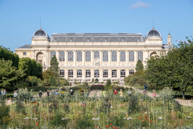  Disfruta del magnífico jardín de plantas 