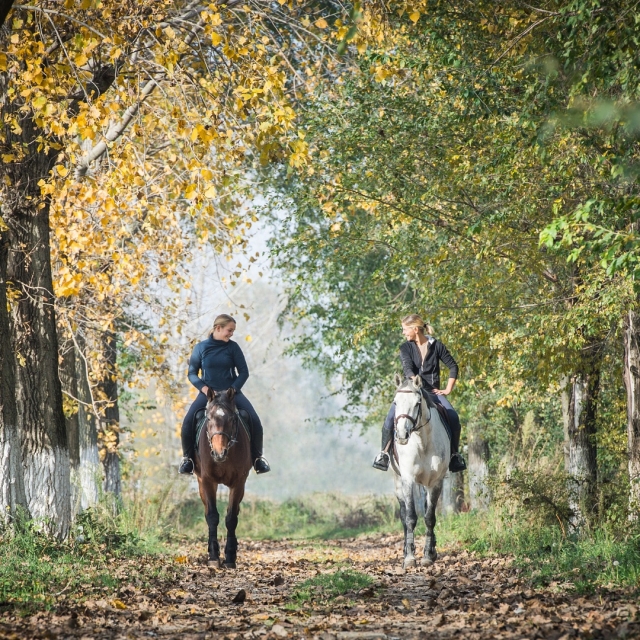 Captura recuerdos de esle paseo a caballo 