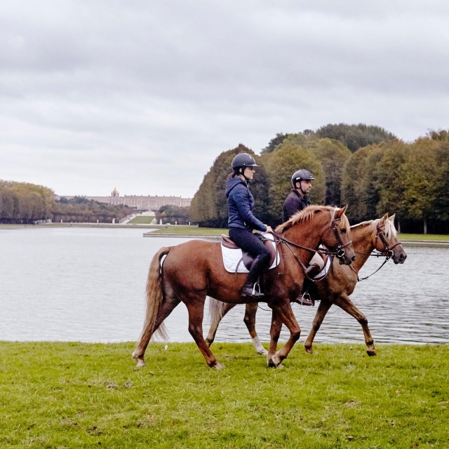  Los caballos son serenos y amables 