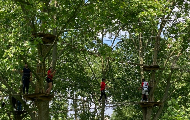  Diferentes cursos de diferenle dificultad.