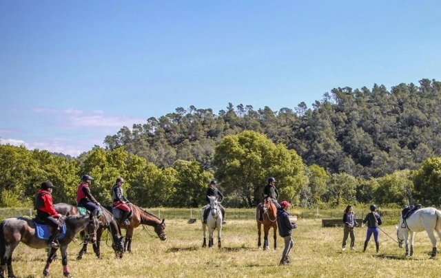 Escuche los consejos de los instructores