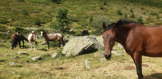  Un entorno verde y montañoso 