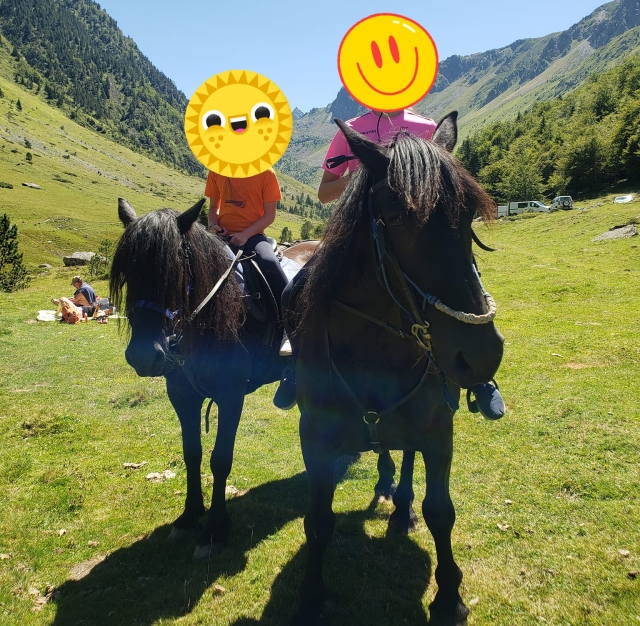  Vive una experiencia en familia