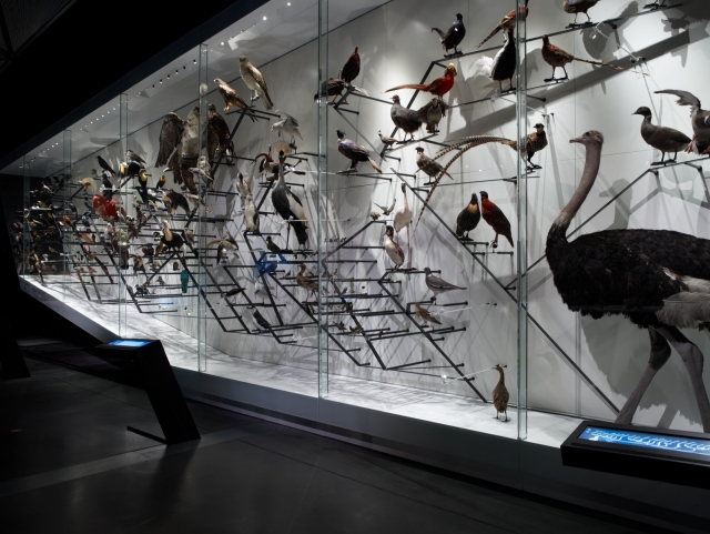  Descubre miles de especies