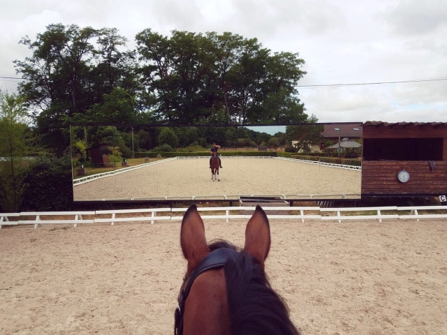  Pbaños a caballo en La Guerche sur l'Aubois 