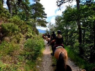 Pbaños a caballo por los Monts du Vivarais - 1 hora