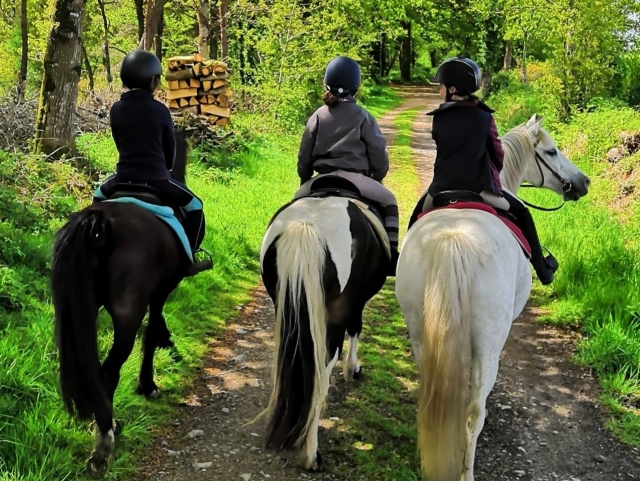 Disfrule de un paseo en el valle de Trieu 