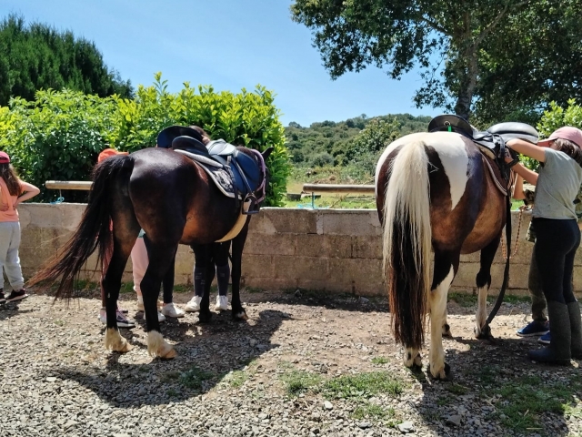  Pbaños a caballo en Côtes-d'Armor 