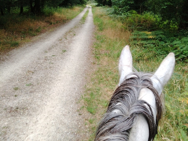  Disfrutar de un paseo a caballo en Saint-Adrien 