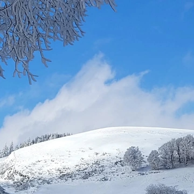  Descubrir la región de Auvernia en trineo
