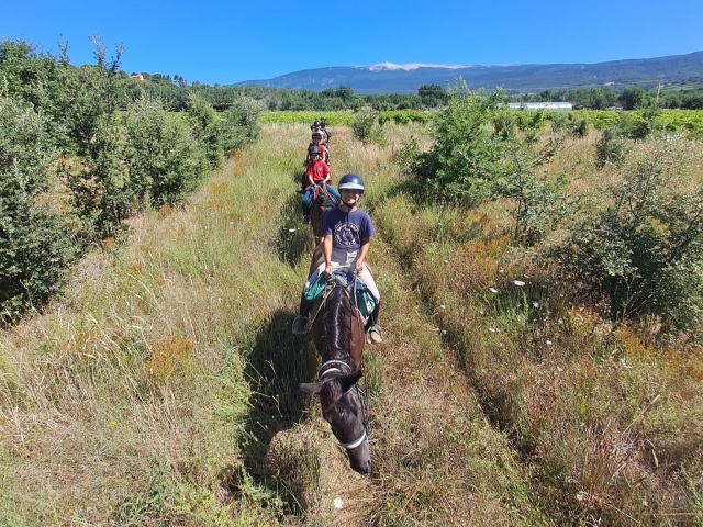  Pbaños a caballo en Villes sur Auzon 