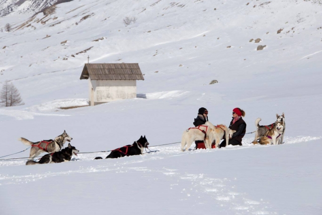  Bautismo de mushing en el valle de Ubaye 