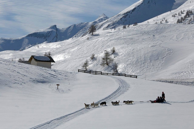  Explora la región de Provenza haciendo mushing 