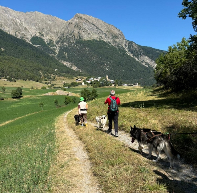  Disfrule de una experiencia de camicrema en cani en Provenza-Alpes-Costa Azul