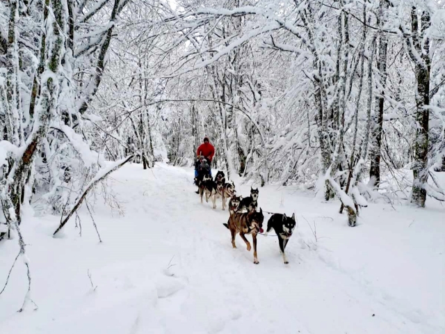 Mushing en Vercors