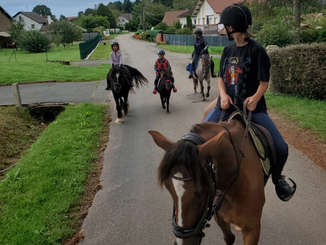  Niños subir a caballo