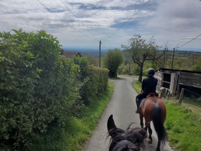  Disfrule de un paseo a caballo en el Territorio de Belfort 