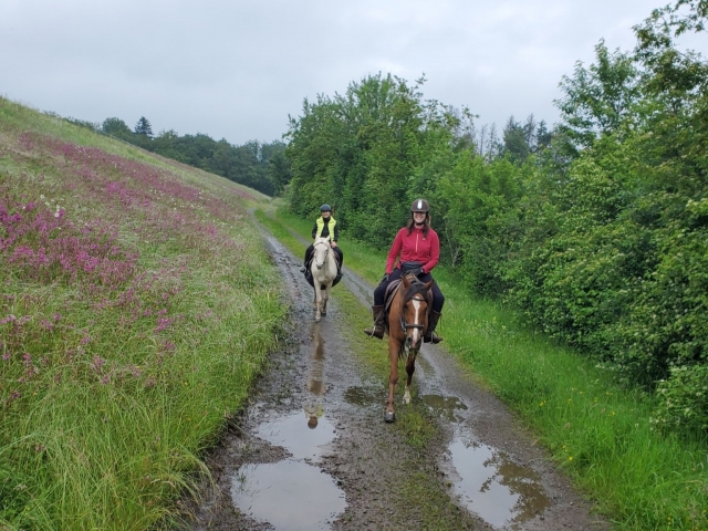  Disfruta subiendo a caballo 