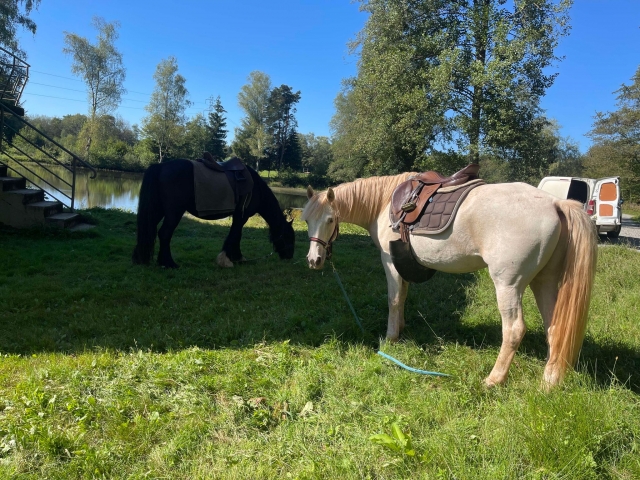  Subir a caballo en Franco Condado 