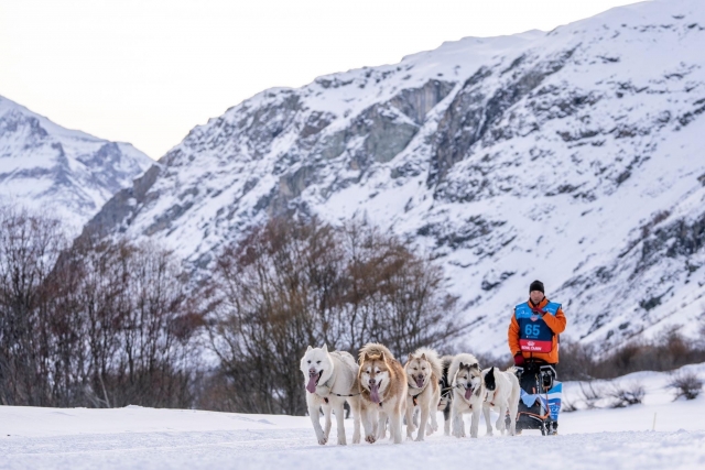  Mushing en Névache 