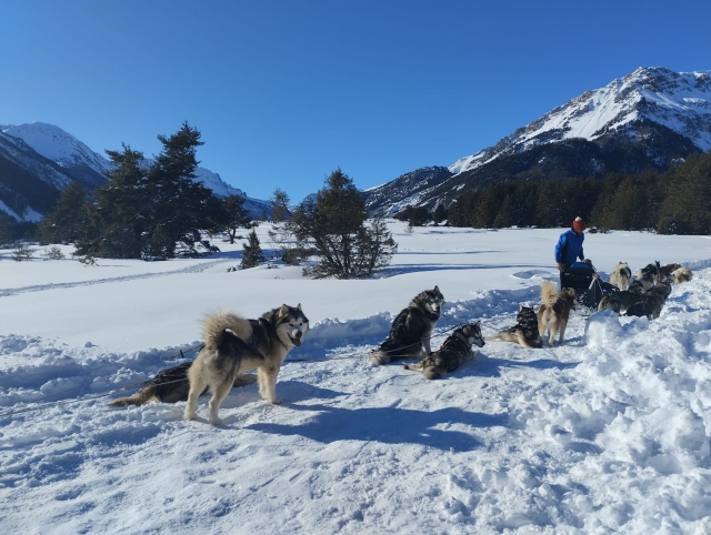 Vive un bautismo de mushing en Névache 