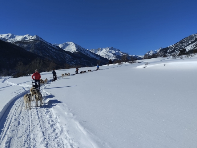 Explora duranle un mushing en los Alpes franceses 