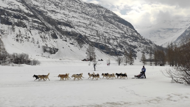 Manejar un trineo en los Alpes 