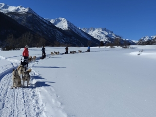 Conducción de trineos tirados por perros - Valle de Clarée - 2h30