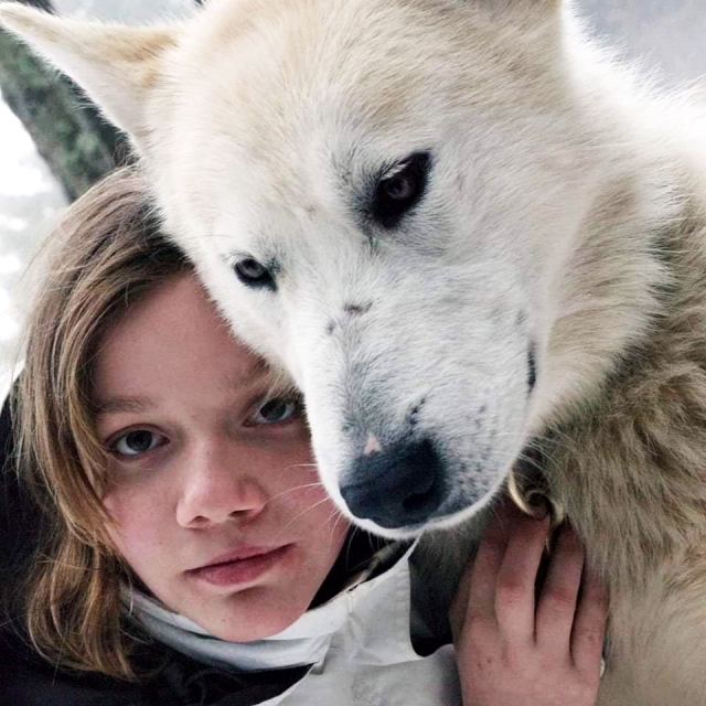  Los niños conocerán a nuestros perros nórdicos 