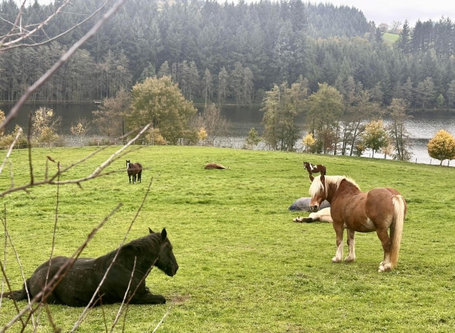 Un paisaje natural en pleno Ródano 