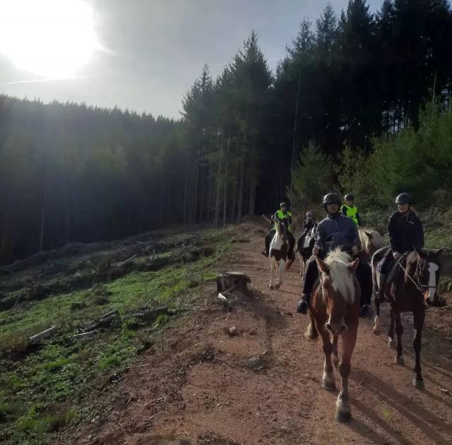  Paseo a caballo en Cublize 