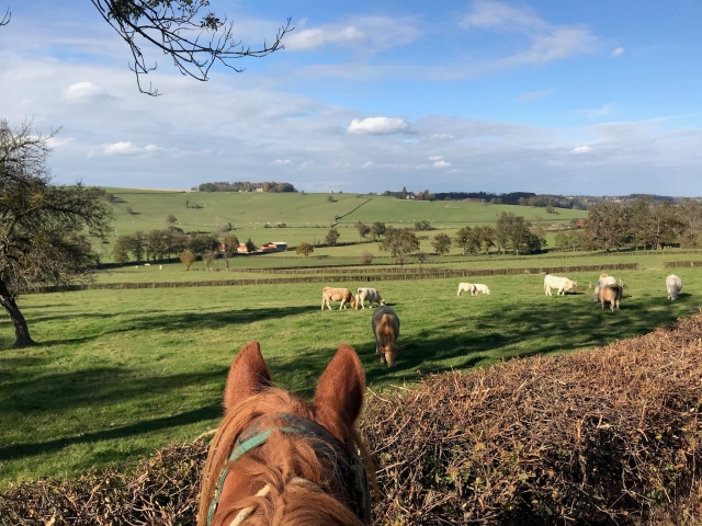 Disfrule de unas vistas impresionantes del bocage Charolais 