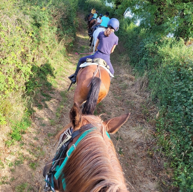  Disfrule de un paseo a caballo en Nochize 