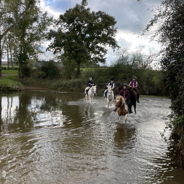  Atraviese los paisajes a caballo en Nochize 