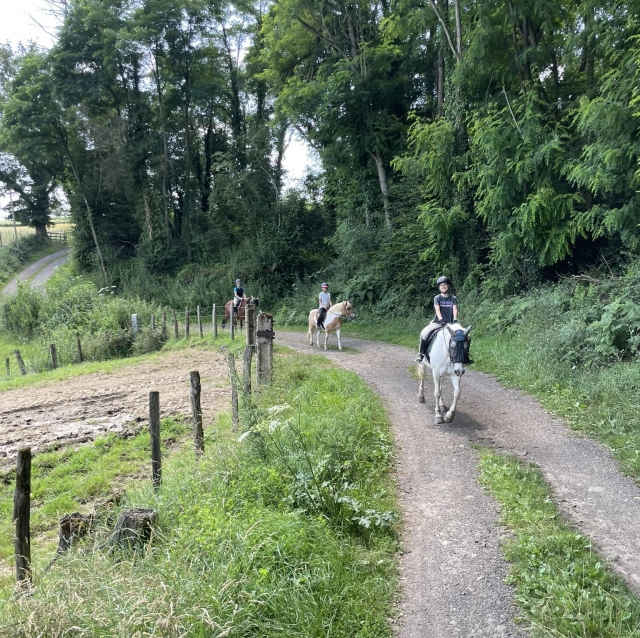  Paseo a caballo en el bocage Charolais 